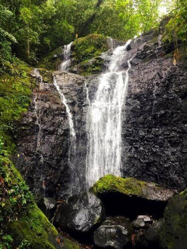 a waterfall on the side of a rocky mountain at Studio bord de mer Fare Tahitea Pension in Taputapuapea