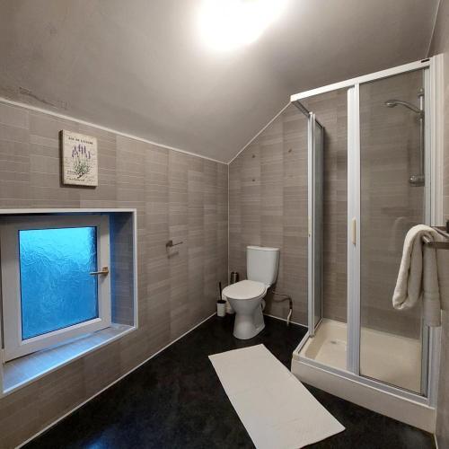 a bathroom with a shower and a toilet and a window at Parliament Inn in Kilkenny
