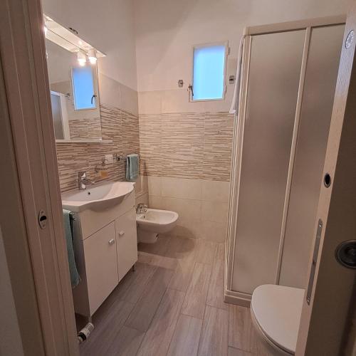 a bathroom with a shower and a sink and a toilet at Da Vinci Refuge 1 in Limonta