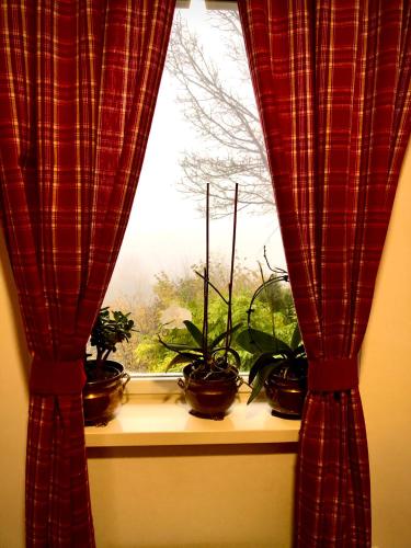 a window with potted plants on a window sill at Odisea Hill House - Modern Holiday Home with swimming pool, sauna, jacuzzi, WiFi and 2 bedrooms, near Varazdin in Gačice
