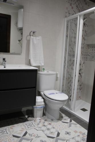 a bathroom with a toilet and a shower at Alojamiento Rural La Estrella de David in Almagro