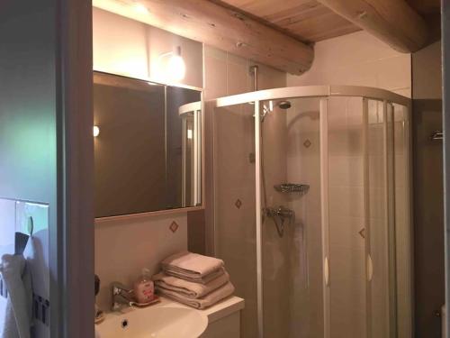 ein Bad mit einer Dusche und einem Waschbecken in der Unterkunft Gîte de charme Le Havre de Paix d'Arcelet in Le Chambon-sur-Lignon