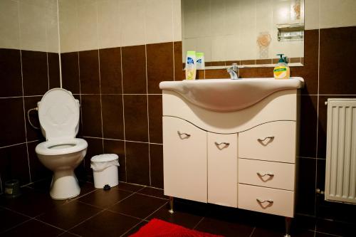 a bathroom with a sink and a toilet at Class in Petroşani
