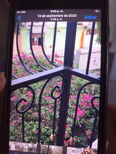 - une fenêtre donnant sur un jardin avec des fleurs roses dans l'établissement Apartamento, 