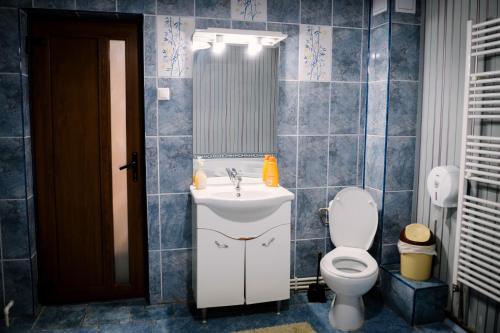 a bathroom with a sink and a toilet at Class in Petroşani