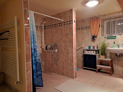 uma casa de banho com um chuveiro e um lavatório. em Unterkunft Mohr em Schmerwitz