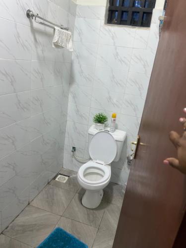 ein Badezimmer mit einem WC mit einer Pflanze darauf in der Unterkunft Trisha in Bungoma