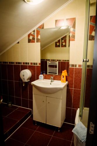 a bathroom with a sink and a mirror at Class in Petroşani
