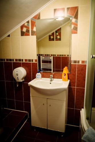 a bathroom with a sink and a mirror at Class in Petroşani
