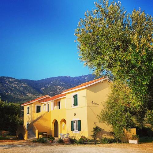 a large yellow house with a tree in front of it at Rodi Studios in Karavadhos