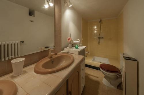 une salle de bain avec un lavabo et des toilettes dans l'établissement Villa Lou Mazet - Piscine privée, à Saint-Raphaël