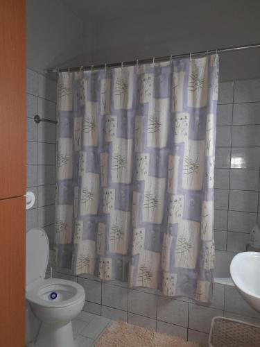 a bathroom with a shower curtain and a toilet at Antonioy apartment Kalampaka in Kalabaka