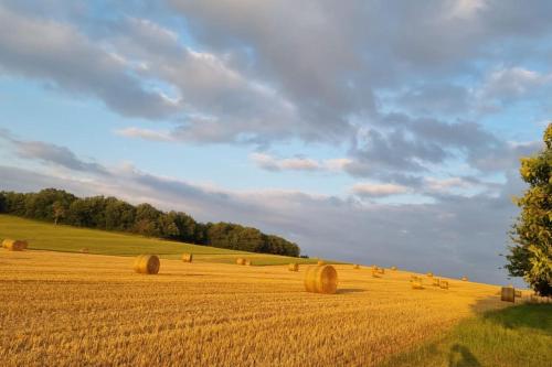 Photo de la galerie de l'établissement Gîtes Beau Chene, à Saint-Étienne-de-Villeréal