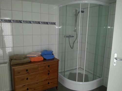 a bathroom with a shower and a wooden dresser at Ferienwohnung am Nürburgring in Adenau