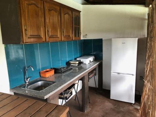 a kitchen with a sink and a white refrigerator at Casa de Marlães in Lousada