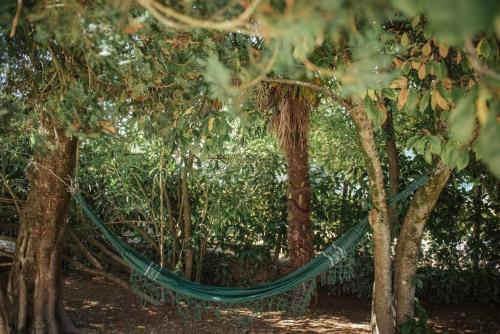 a hammock in the middle of a forest of trees at Casa de Marlães in Lousada