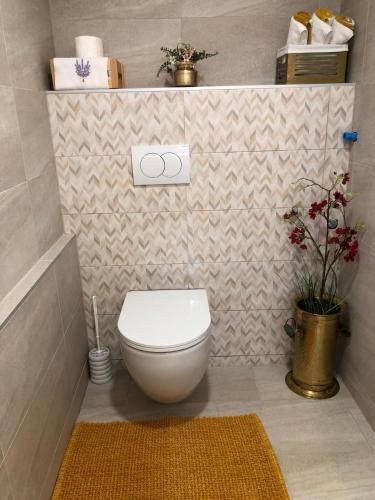 a bathroom with a white toilet in a room at Odisea Hill House - Modern Holiday Home with swimming pool, sauna, jacuzzi, WiFi and 2 bedrooms, near Varazdin in Gačice