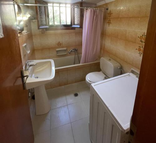 a small bathroom with a sink and a toilet at Vasilikos Apartments in Paralia Agias Foteinis