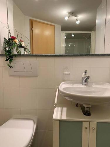 a bathroom with a sink and a toilet and a mirror at Rustico Valgrazia in Molare