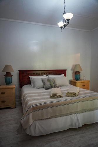 a bedroom with a large bed with two night stands at ENTRE VIÑAS in Santa Cruz