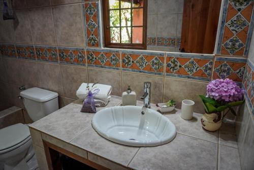 a bathroom with a sink and a toilet at ENTRE VIÑAS in Santa Cruz