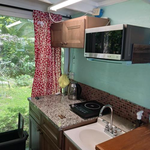 a kitchen with a sink and a microwave and a window at Studio in Keaau