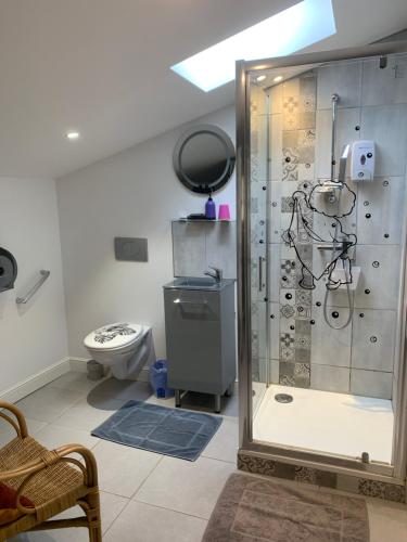 a bathroom with a shower and a toilet at La Maison de Josephine in Montignac-Charente
