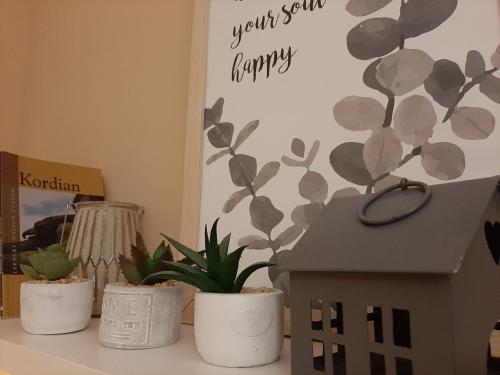 Gambar di galeri bagi Drzewna Apartamenty-Drzewna di Zielona Góra