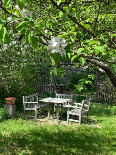 a picnic table and two benches under a tree at Marston House Wiscasset in Wiscasset