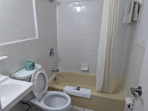 a bathroom with a toilet and a sink and a tub at TRAVELER'S INN in Smithfield