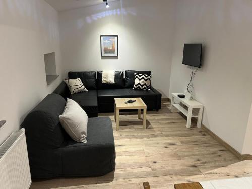 a living room with a black couch and a tv at Apartamenty KTW Kościuszki 41 - SKY & DESIGN in Katowice