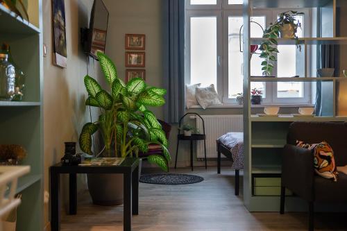 Gambar di galeri bagi Apartament u Olechny 5 di Bydgoszcz