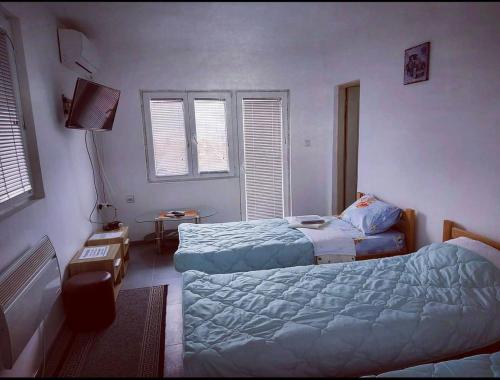 a bedroom with two beds and a tv in it at Hostel Yugoslavija 1 in Aleksandrovac