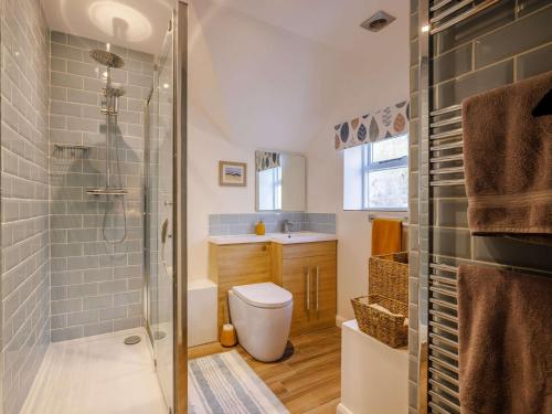 a bathroom with a shower and a toilet and a sink at 2 Bed in Ironbridge 89961 in Coalbrookdale