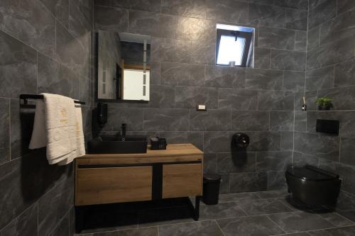 a bathroom with a sink and a toilet at Harmonija SPA RESORT in Vrdnik