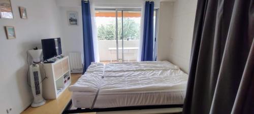 une chambre avec un lit, une télévision et une fenêtre dans l'établissement Studio with balcony in residence facing the pool, à Arcachon