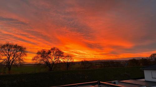 einen Sonnenuntergang über einem Feld mit Bäumen im Vordergrund in der Unterkunft Kate in Euskirchen