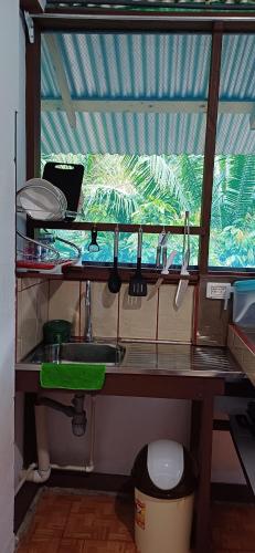 eine Küche mit einem Waschbecken und einem Fenster in der Unterkunft Drake Lapas in Drake