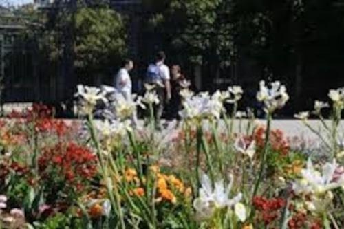 Photo de la galerie de l'établissement Le Bouscat: un superbe appartement en résidence, à Le Bouscat