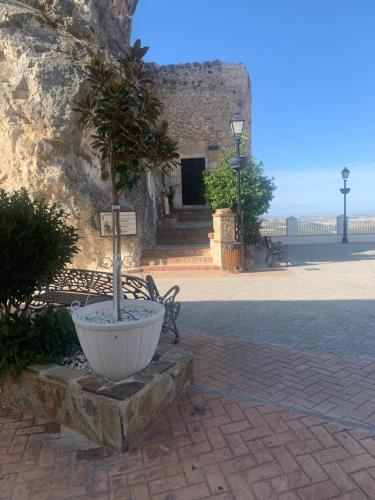 a potted tree in a planter next to a building at La Cueva in Zuheros