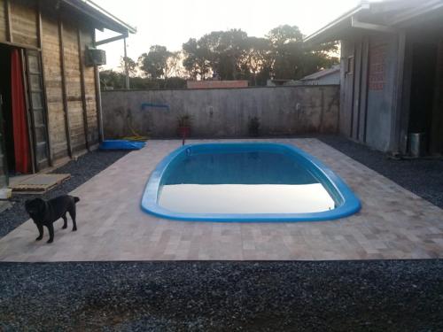 a dog standing next to a blue and white pool at CASA DE VERANEIO COM PISCINA in São Francisco do Sul