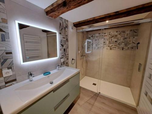 ein Bad mit einem Waschbecken und einer Dusche in der Unterkunft Entre Vignes et vergers Gite Parenthese in Gueberschwihr