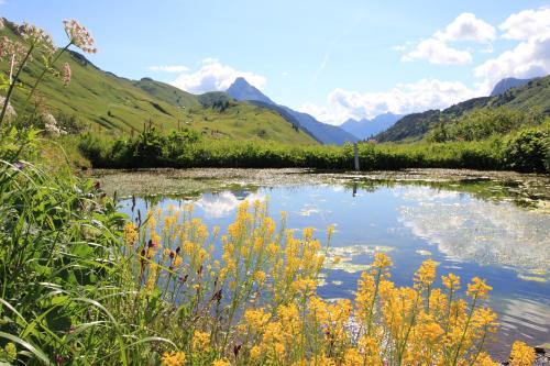 a view of a river with mountains in the background at Hotel Adler in Warth am Arlberg