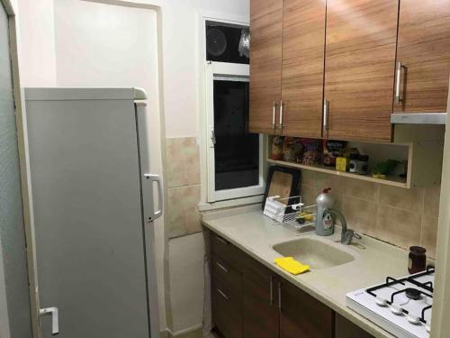 a kitchen with a white refrigerator and a sink at Üsküdar merkezde ve Kadıköy’e 5 dk uzaklıkta ev in Istanbul