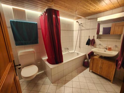 a bathroom with a toilet and a tub and a sink at Apartment Ober-Tiefenbühl in Hergiswil