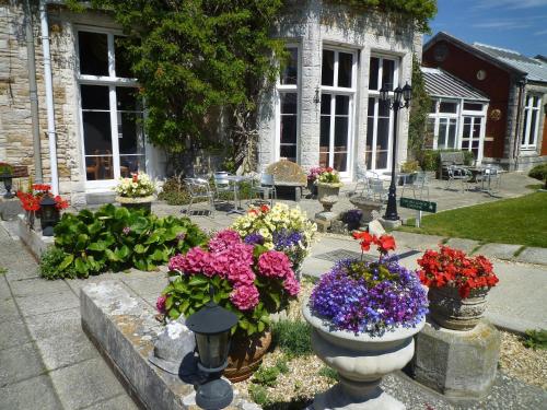 A garden outside Purbeck House Hotel & Louisa Lodge