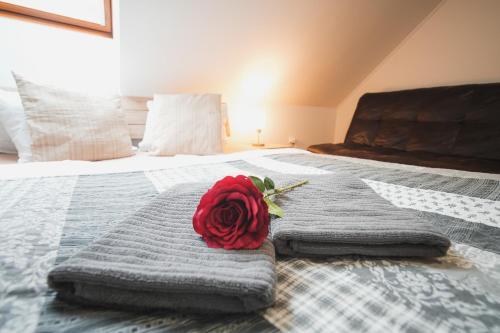 a red rose sitting on top of a bed at Pension Štěpán in Mikulov
