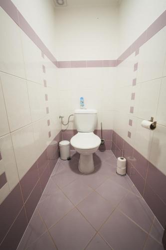 a bathroom with a white toilet in a room at Pension Štěpán in Mikulov