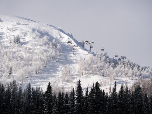 a ski lift on a snow covered mountain with trees at Åre Valley Lodges - Kopparvillan in Åre