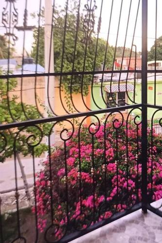 Um ramo de flores cor-de-rosa atrás de uma cerca. em amplia y cómoda casa 